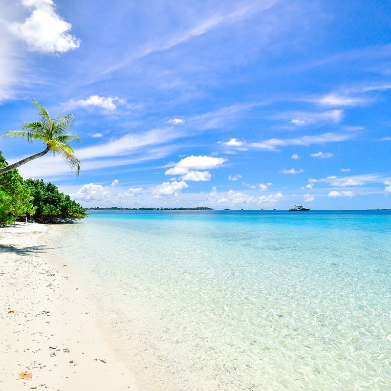Saco da Ilha